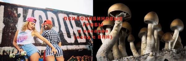 твердый Бородино