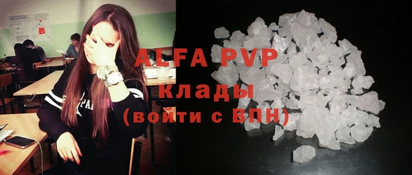 сатива Бронницы