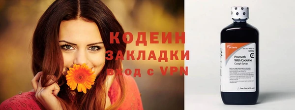 твердый Бородино