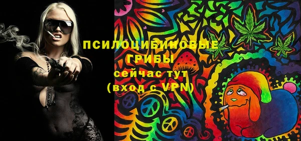 твердый Бородино