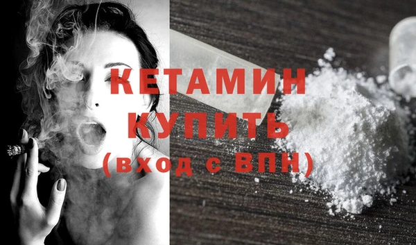 твердый Бородино